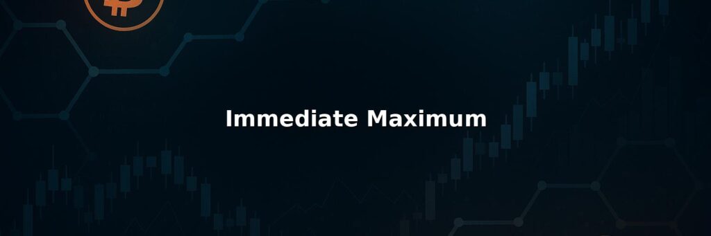 Immediate Maximum Review 2025: Safety Fees Pros & Cons