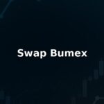 Swap Bumex Review: Pros And Cons of Working